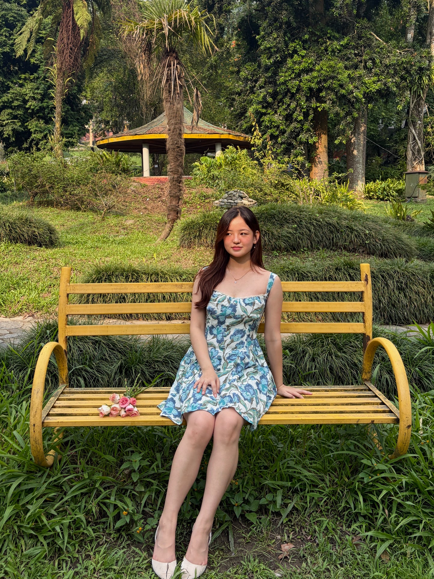 Iris Dress