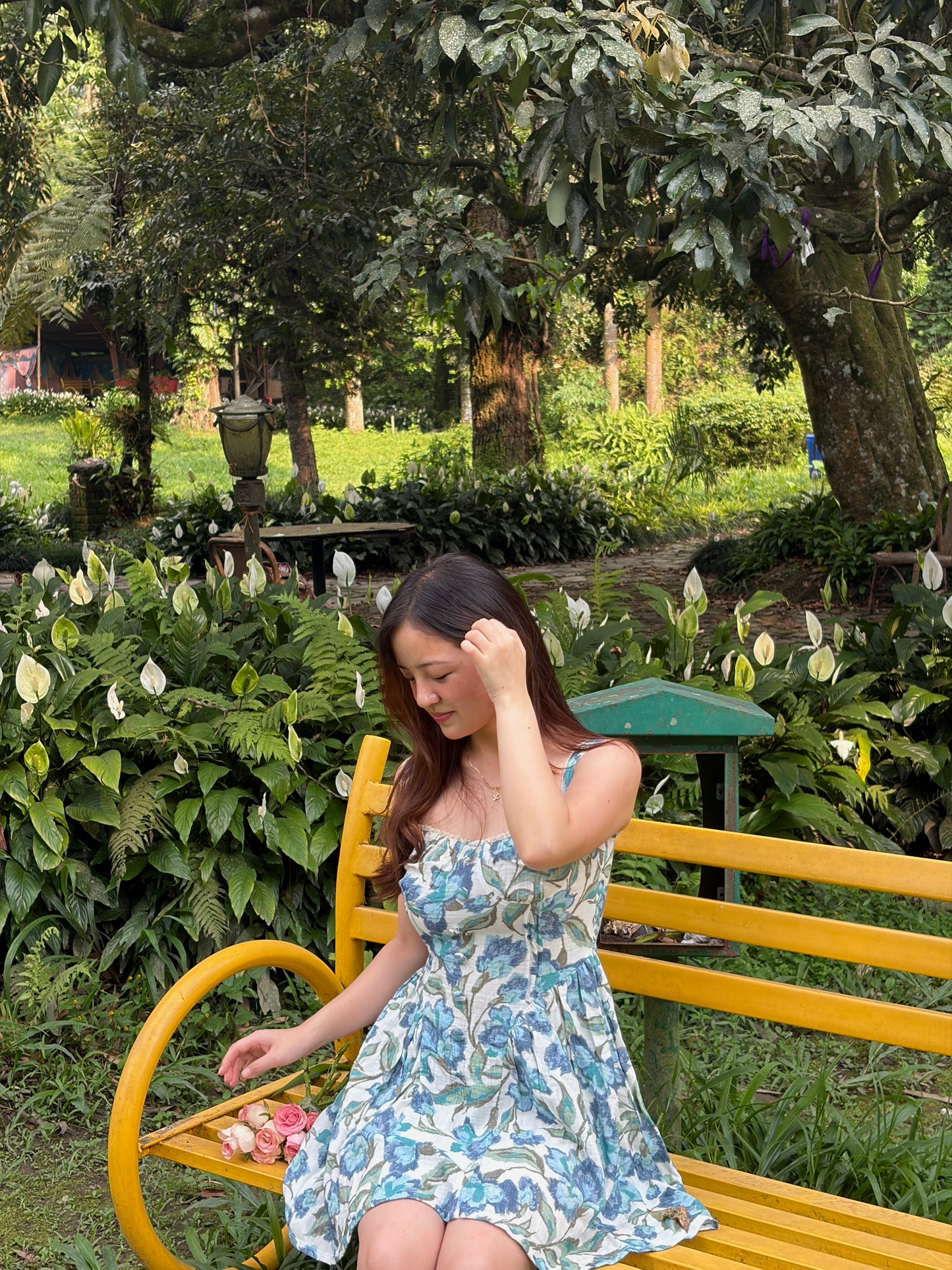 Iris Dress